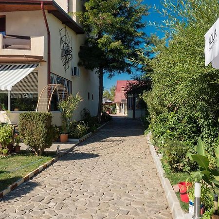 Pension Motanul Galanton Snagov Extérieur photo