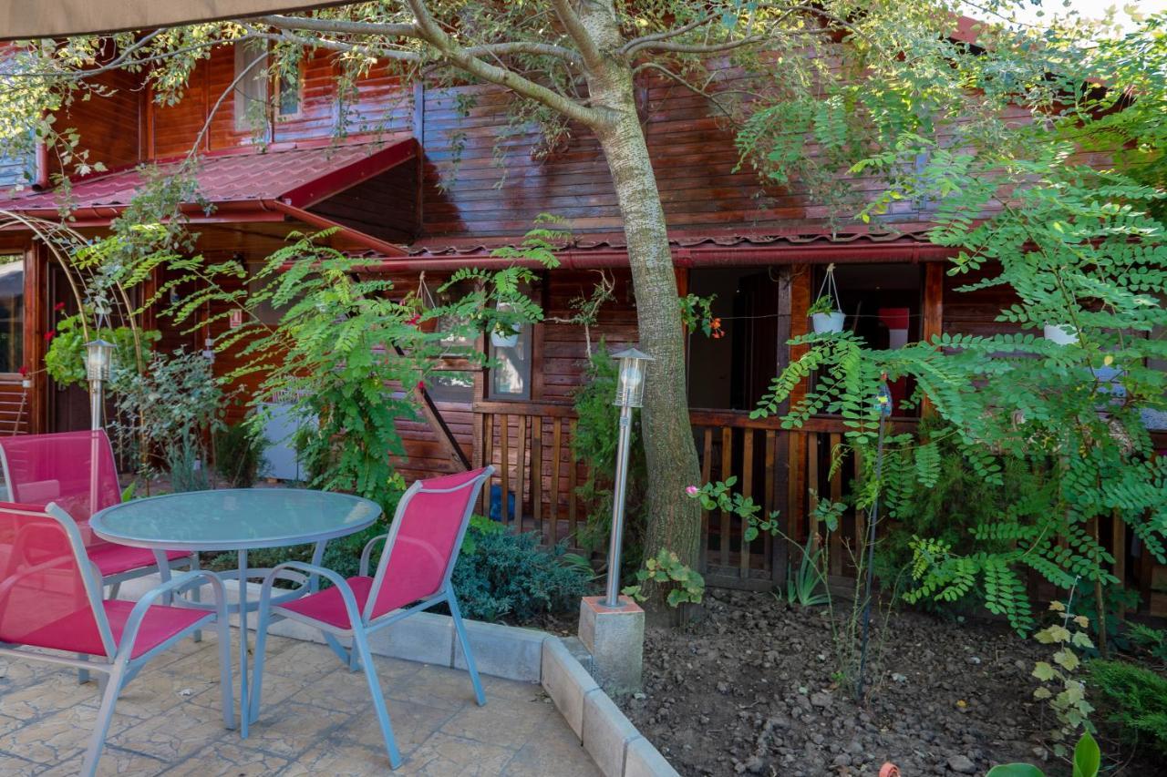 Pension Motanul Galanton Snagov Extérieur photo