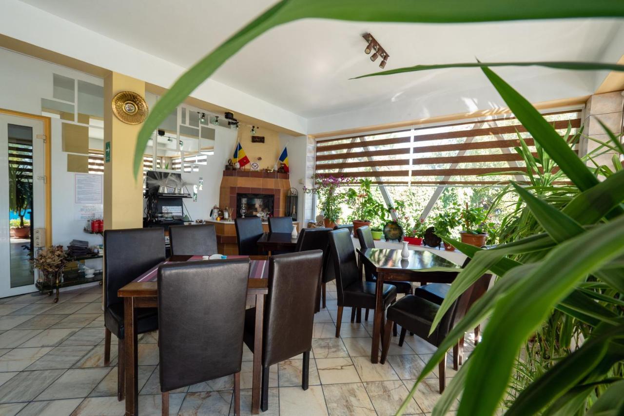 Pension Motanul Galanton Snagov Extérieur photo