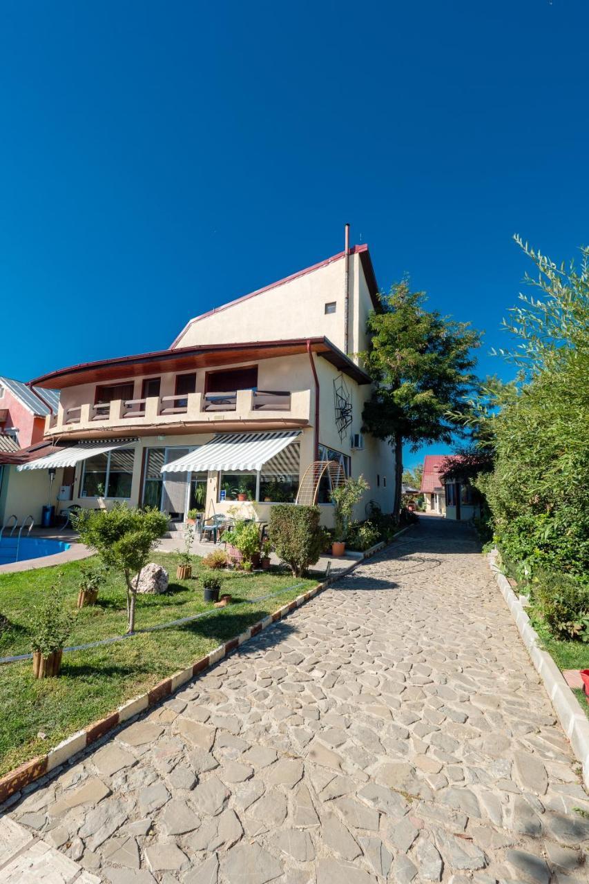 Pension Motanul Galanton Snagov Extérieur photo