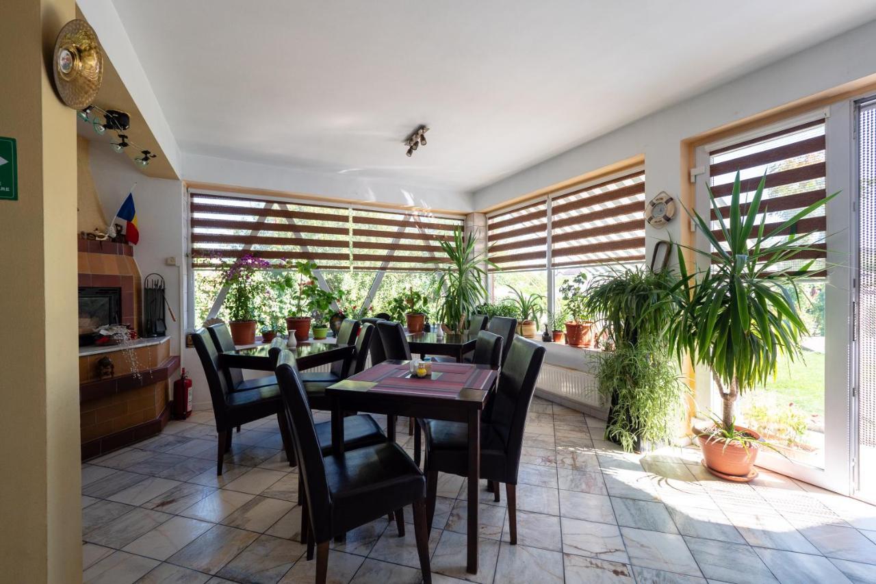 Pension Motanul Galanton Snagov Extérieur photo