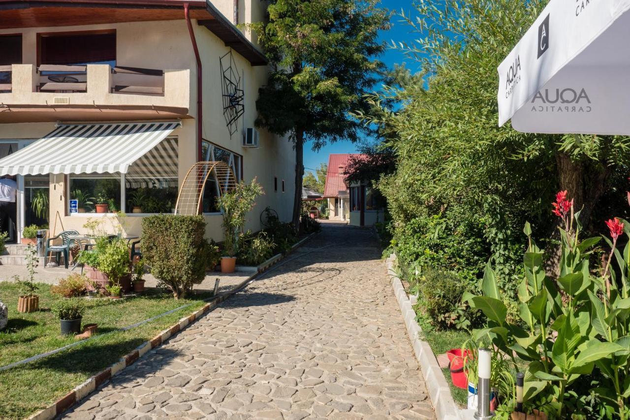 Pension Motanul Galanton Snagov Extérieur photo