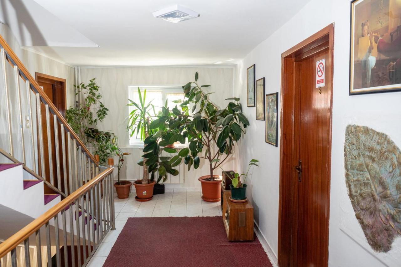 Pension Motanul Galanton Snagov Extérieur photo