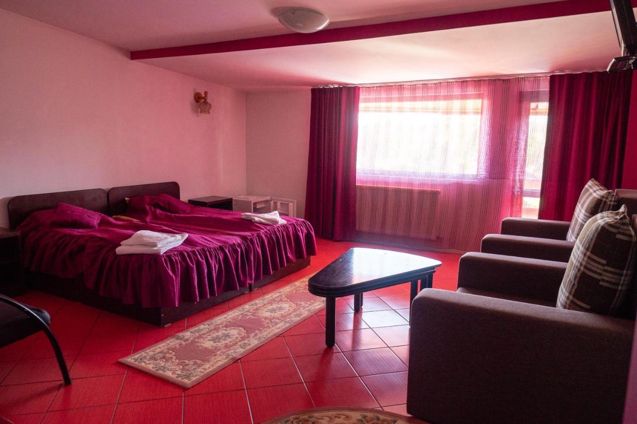 Pension Motanul Galanton Snagov Extérieur photo