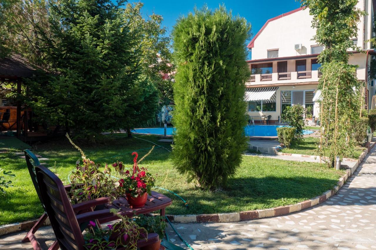 Pension Motanul Galanton Snagov Extérieur photo