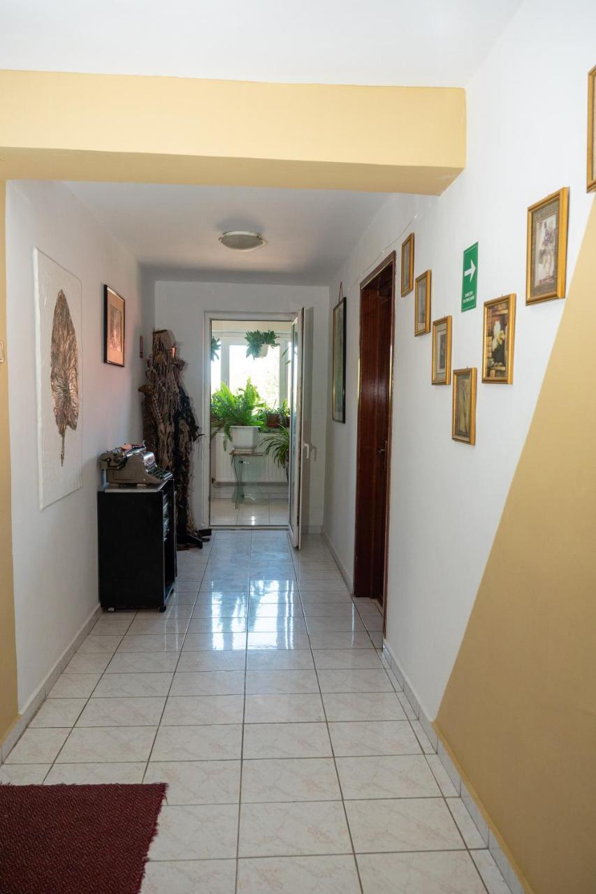 Pension Motanul Galanton Snagov Extérieur photo